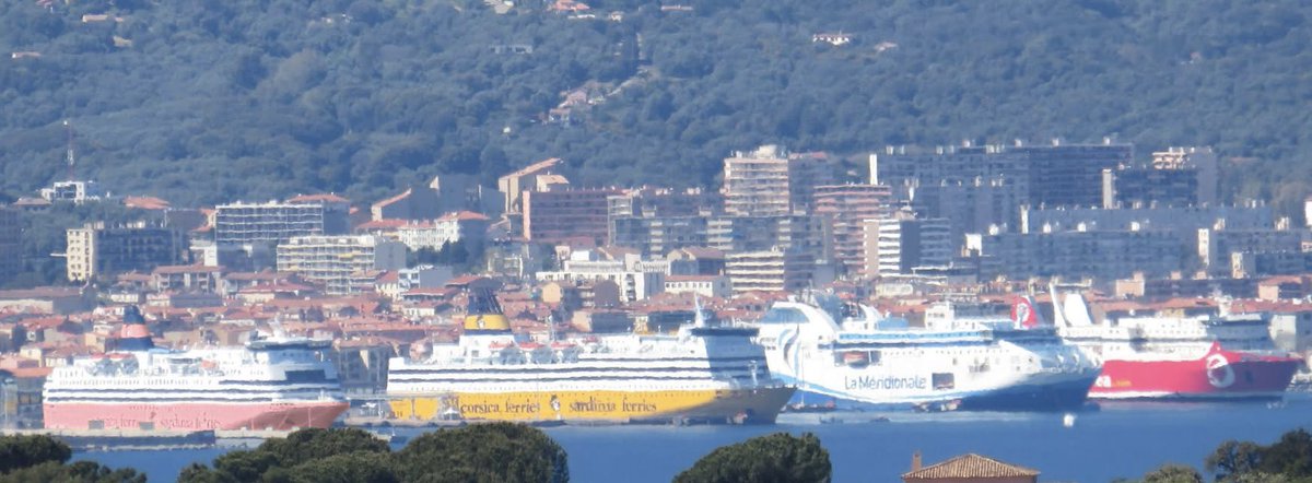 コルシカぼっち🇫🇷🇯🇵 tweet media