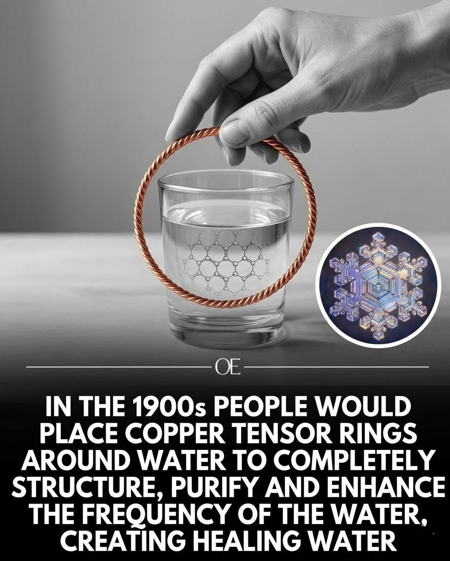 🧬Maxpein🧬 tweet media