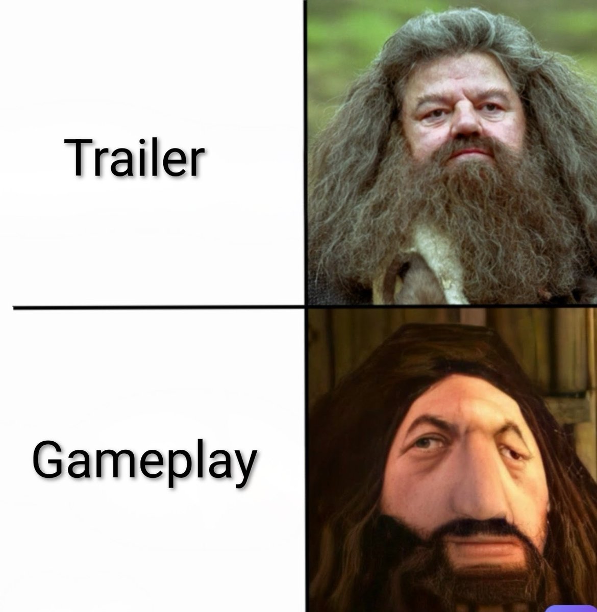 Fede Zappa tweet media