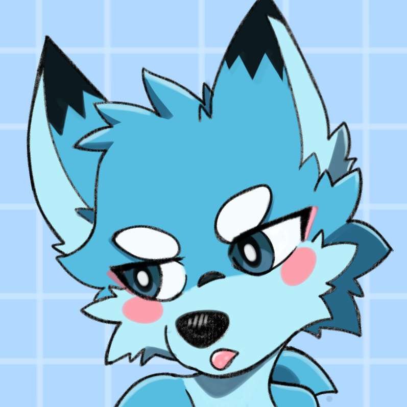 レイナ / Reina (@Reina_WolfShark) / Posts / X