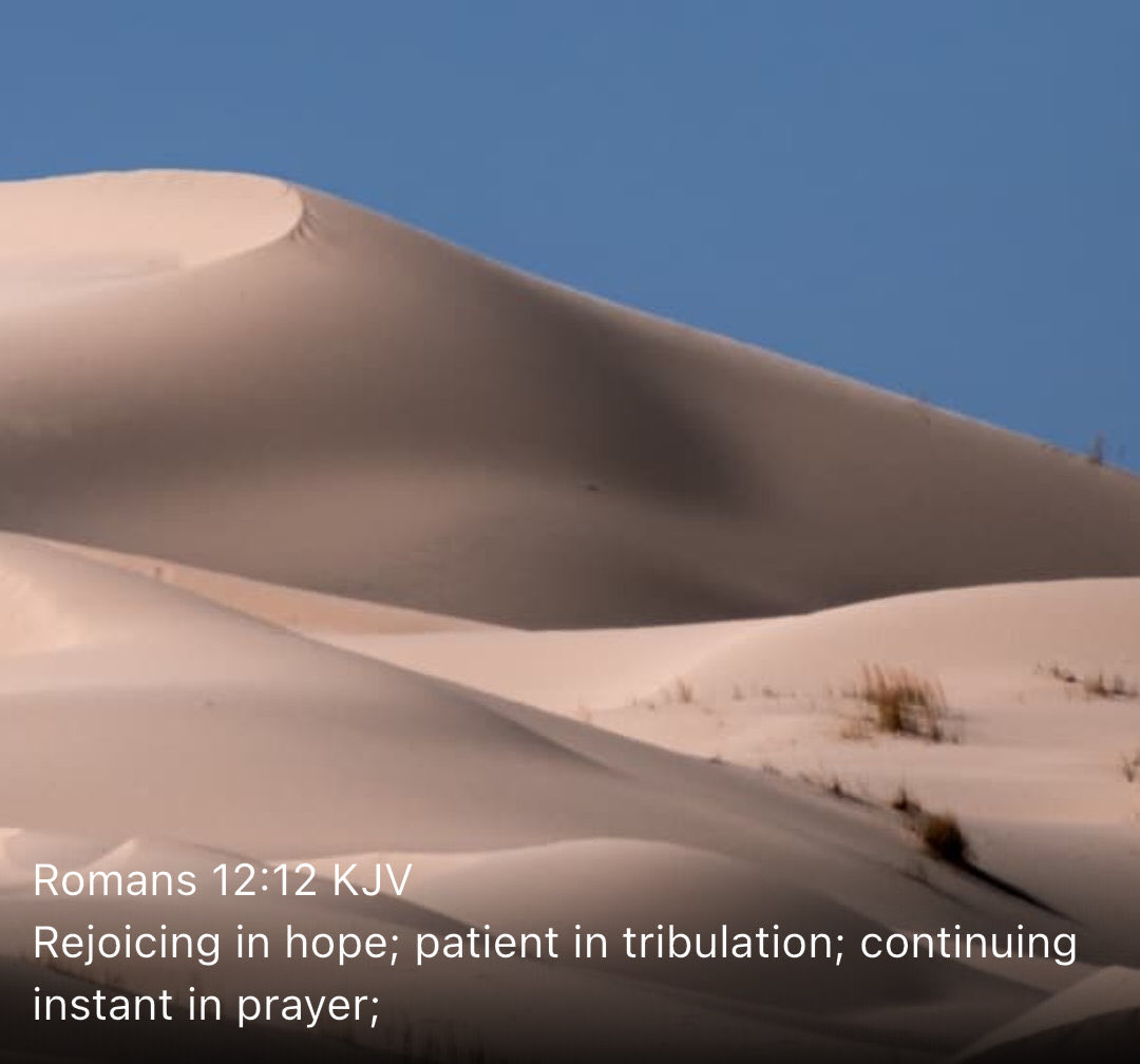 New Testament Christian Church Of Brooklyn, NY tweet media