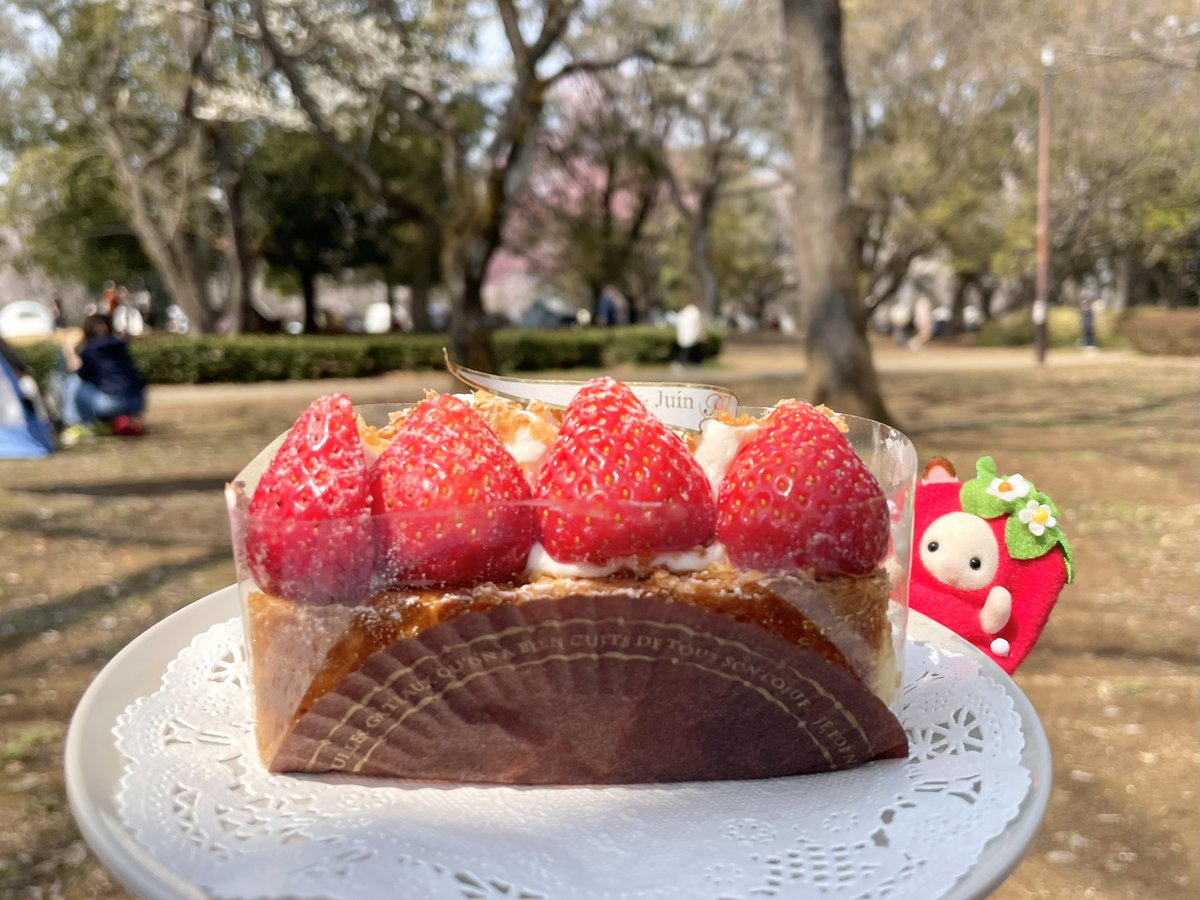 きたうら tweet media