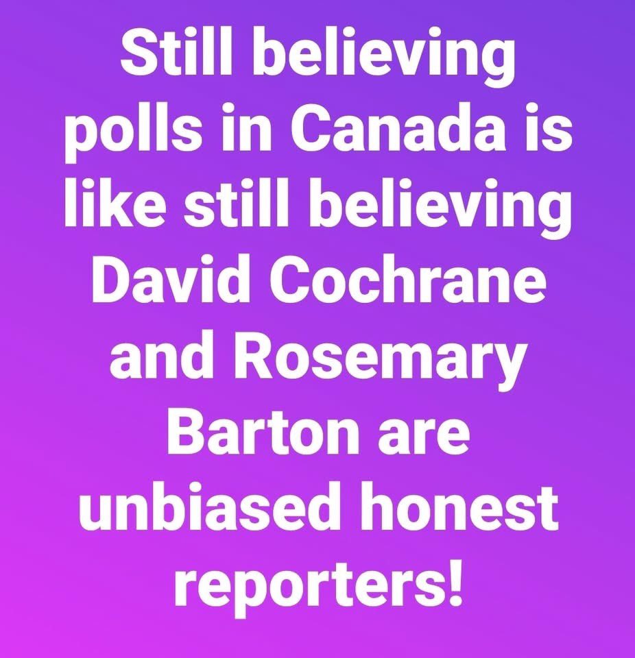 SScriver tweet media