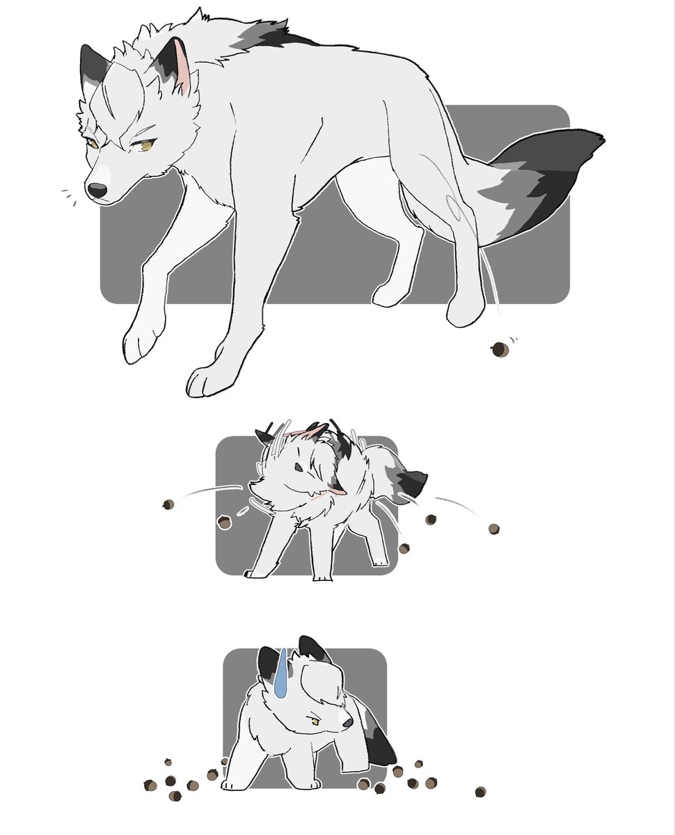 ろとと🐾 tweet media