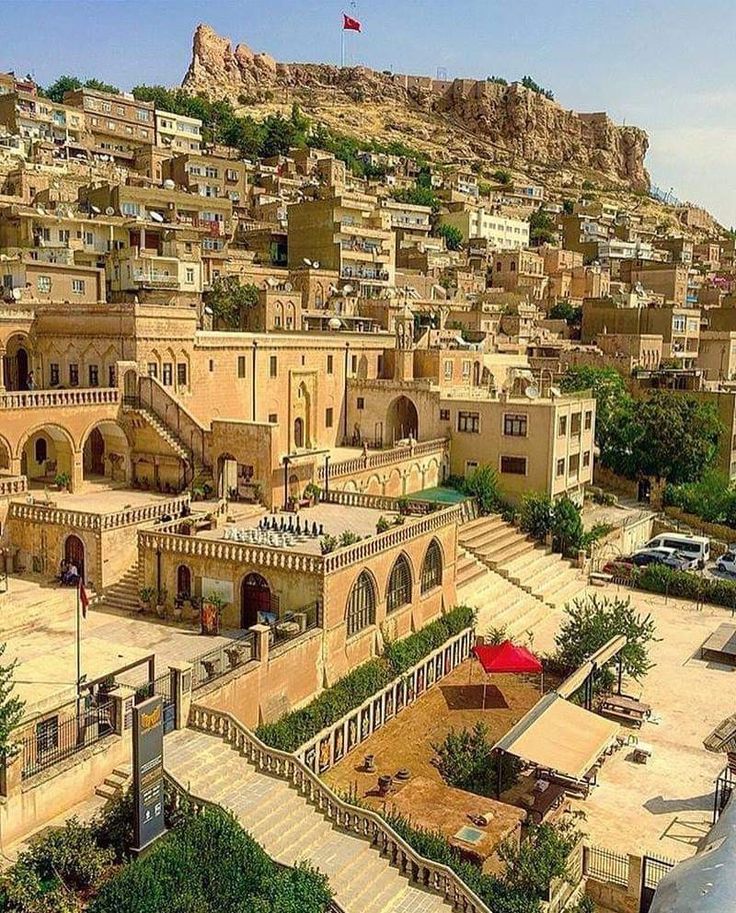 beauti_animals's tweet photo. 📍Madrin, Turkey 🇹🇷 https://t.co/lHNZUwdhGz
