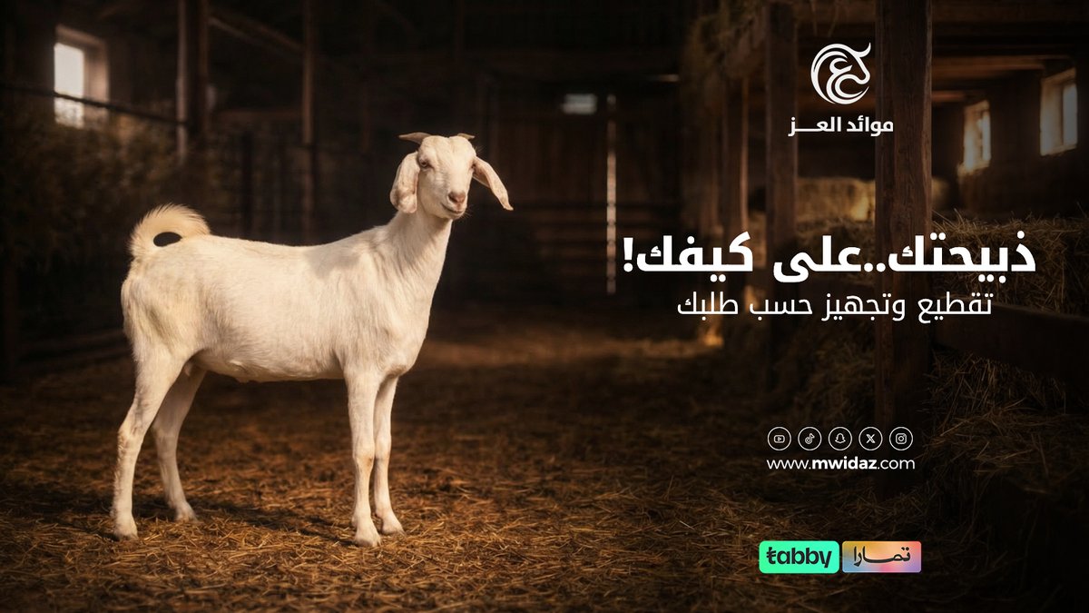 mwid_aez's tweet photo. تبغى لحم مفروم؟ شرايح؟ مكعبات؟ ارباع؟ 🥩
  مع موائد العز، ذبيحتك نجهزها لك بالتقطيع اللي تبيه، عشان تكون جاهزة للطبخ على طول. 
 سهّلناها عليك! اطلب ذبيحتك الآن واستمتع بالطعم الأصيل والجودة اللي تستاهلها.  
 #موائد_العز #لحم_مفروم #تقطيع_خاص #جاهز_للطبخ #ذبائح https://t.co/KXMlslA5U4