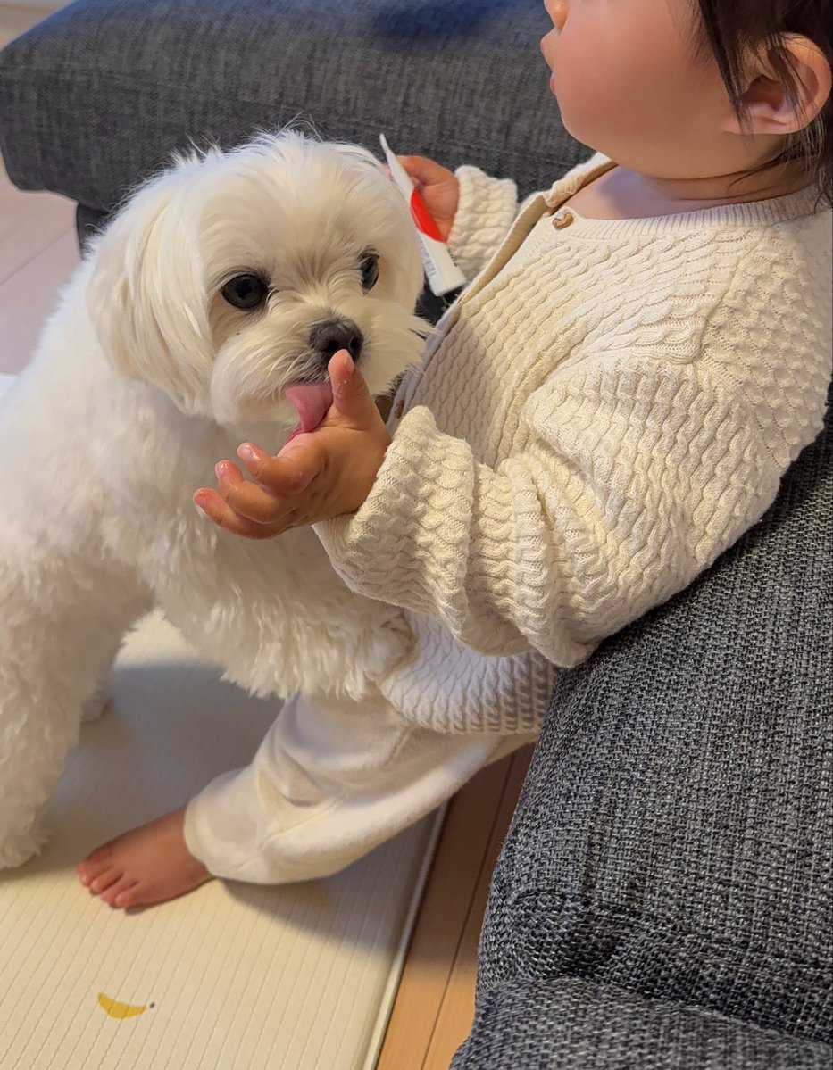 ちくわさん tweet media