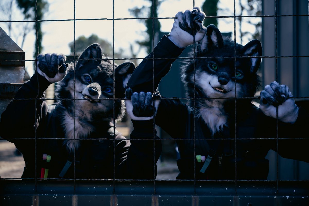 Ryx＠リクス tweet media