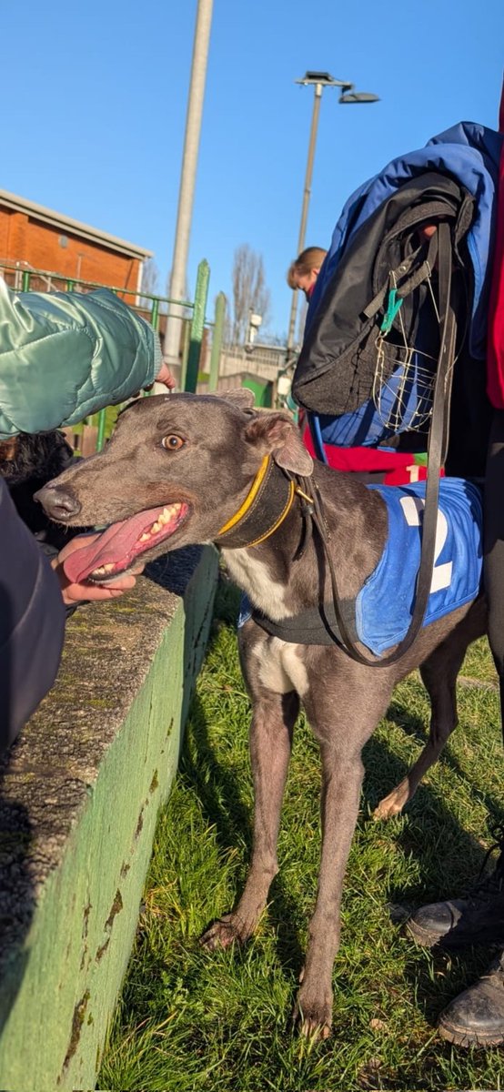 denise ryan tweet media