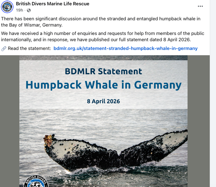 Many people have written to the British Divers Marine Life Rescue ...