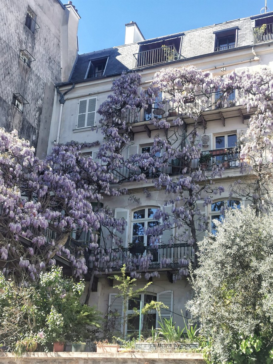 Paulette à bicyclette tweet media