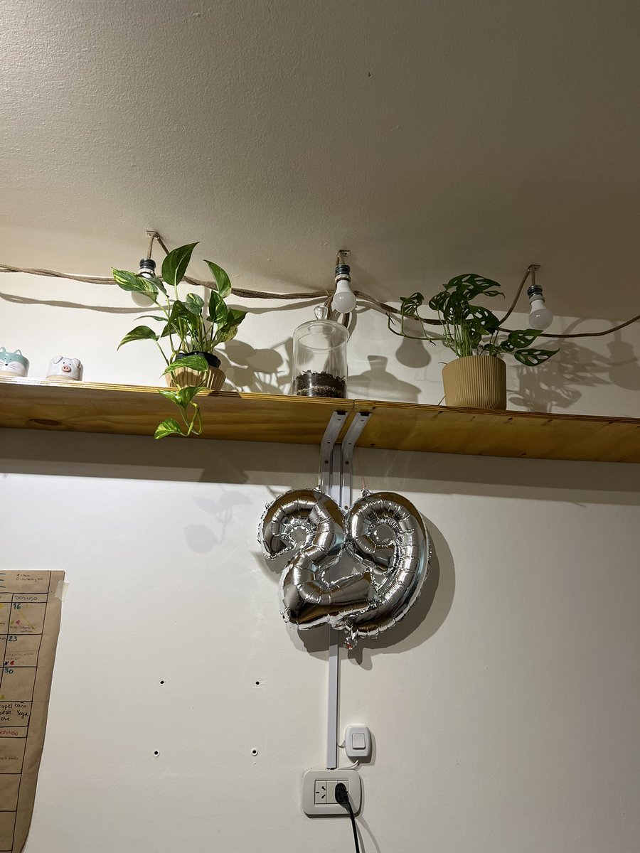 ValeScarel's tweet photo. Mis otras plantas: https://t.co/TB7QNoKnGQ