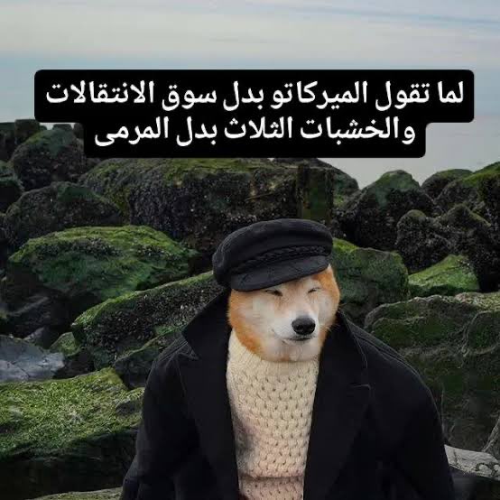 فيكتور tweet media