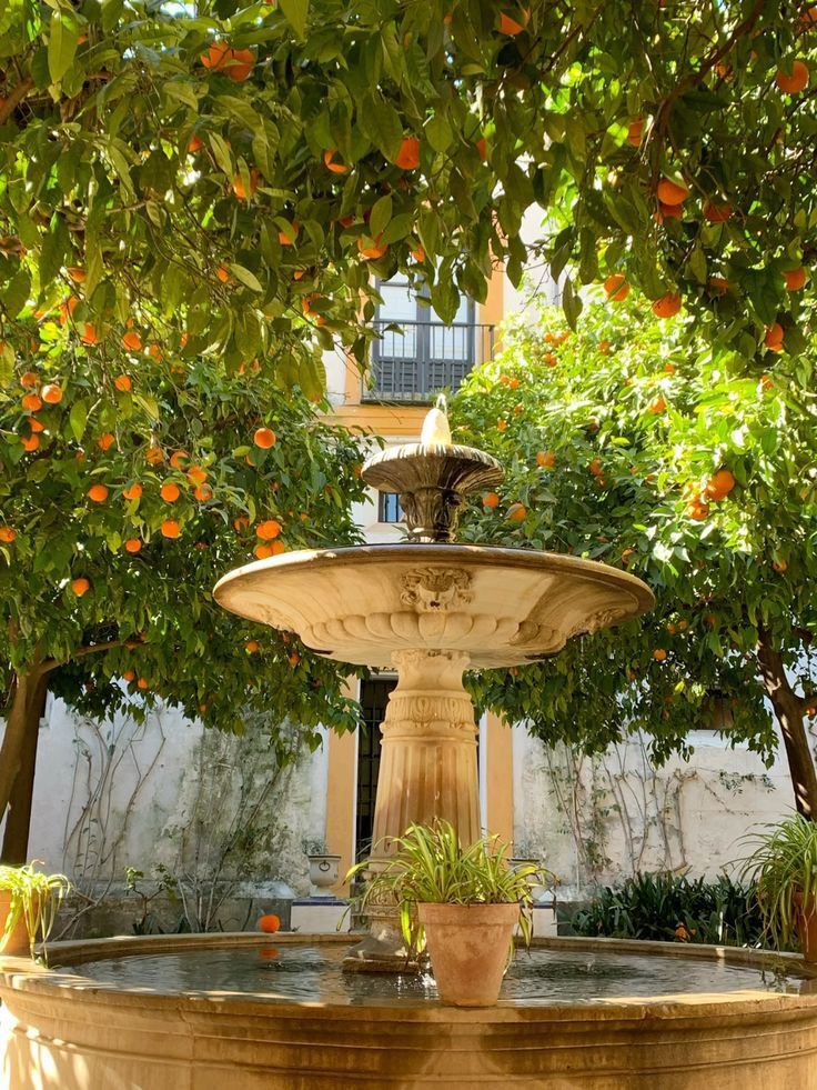 Beauty Explorer tweet media