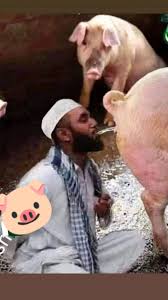 Jinnahchad's tweet photo. @LosBruto @Kaaliyug https://t.co/qnpPKm7Z2q