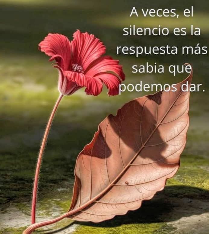 Geovanny Muñiz (@geovannymuiz1) on Twitter photo 