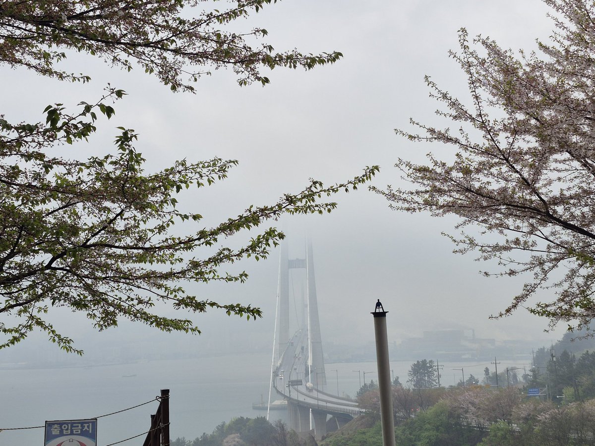 전하억ㆍ詩人 tweet media