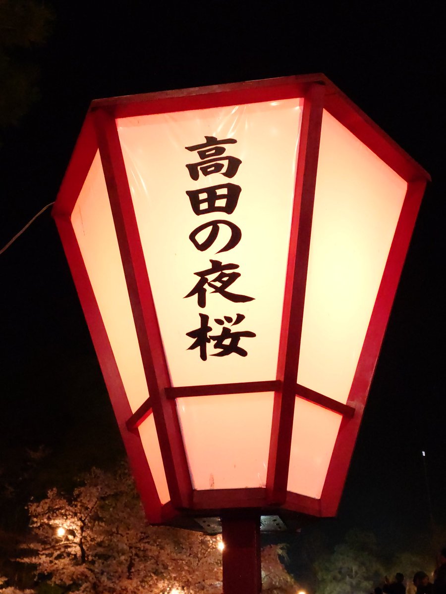 ぽて🍟 tweet media