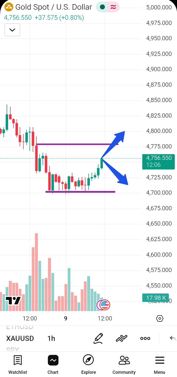 marlina trader tweet media