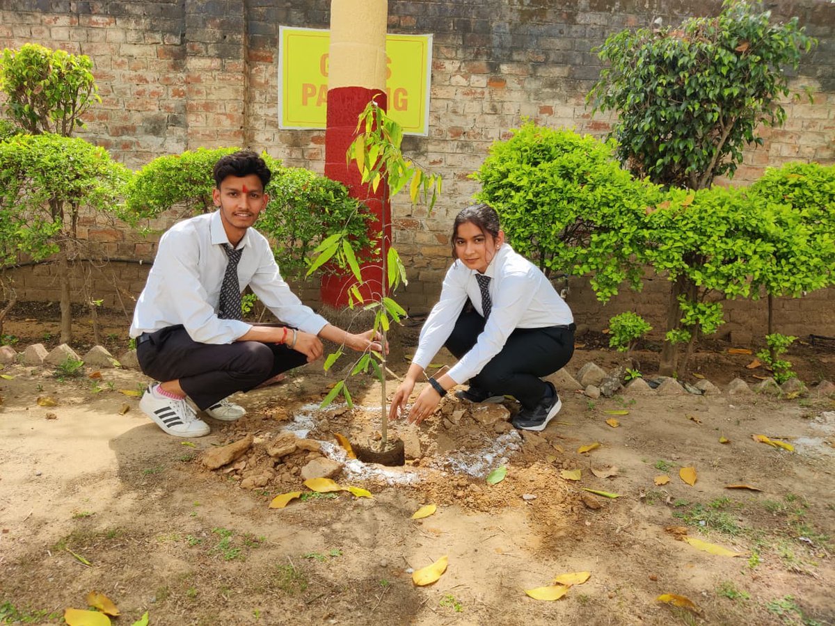Plantation of 🌲 31 Trees 🌲on the special occassion of our 31st Foundation Day 🎉

A symbolic step to make our future greener &amp; cleaner ! 

#BIMTCollege