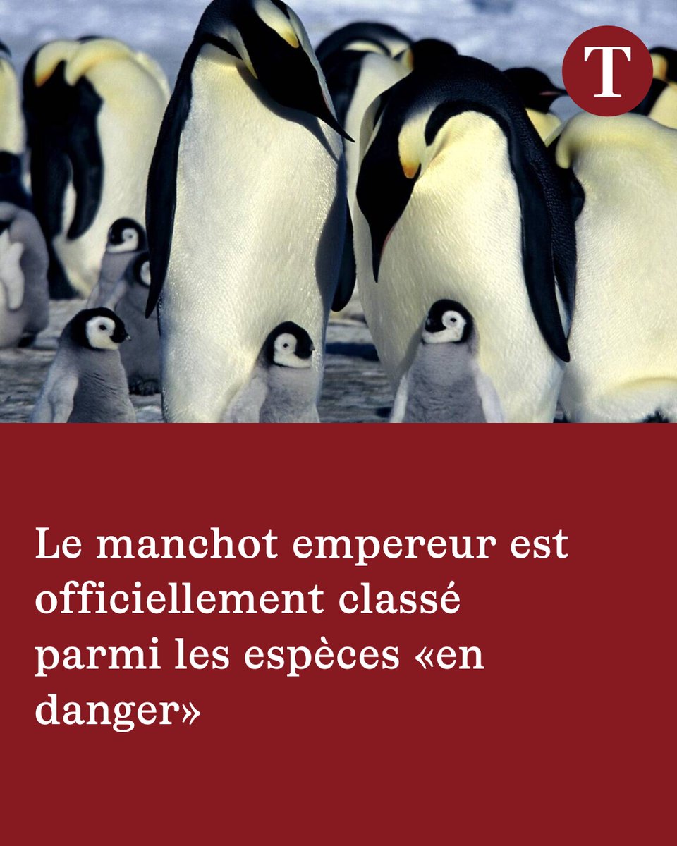 Le Temps tweet media
