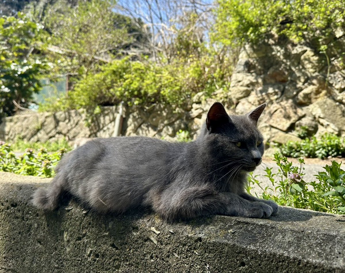 ムトウ tweet media