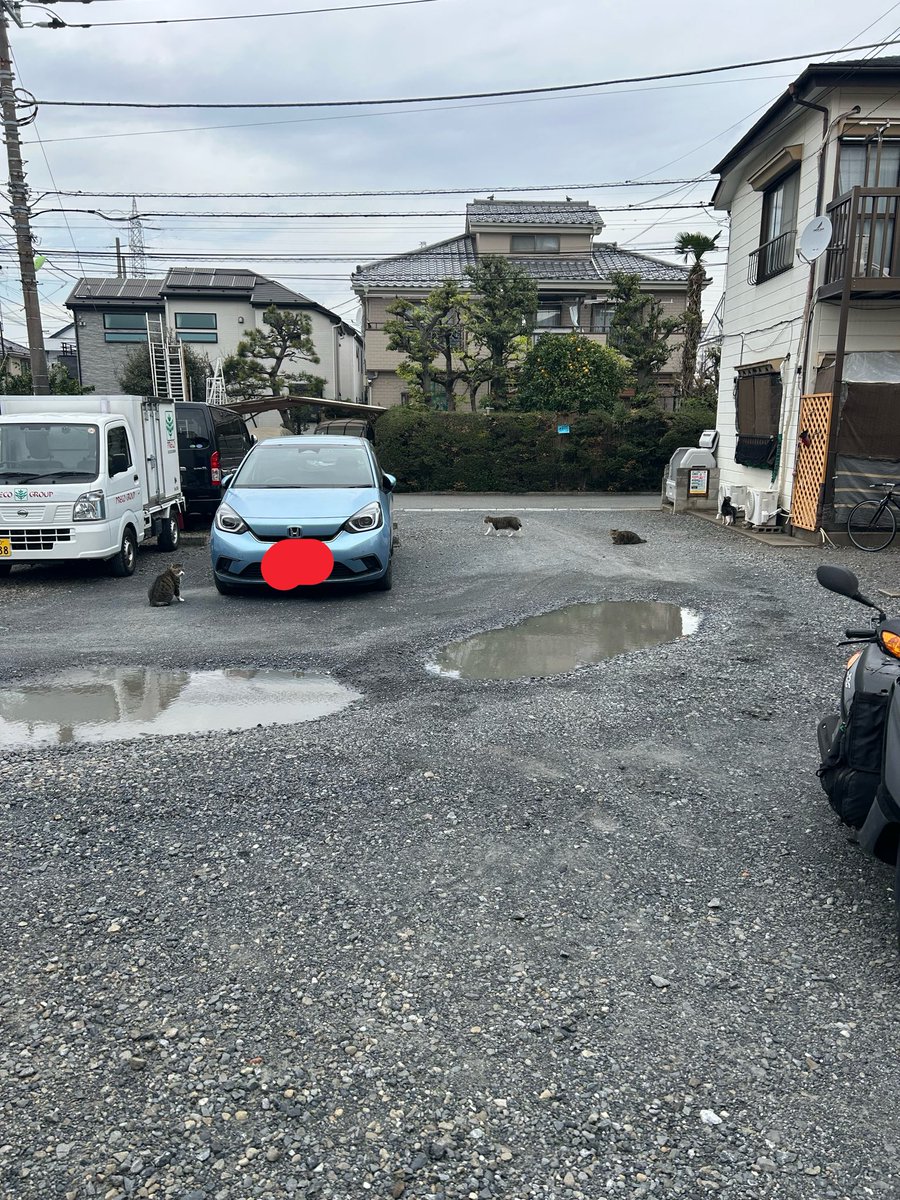 ウバーバ　小前 tweet media