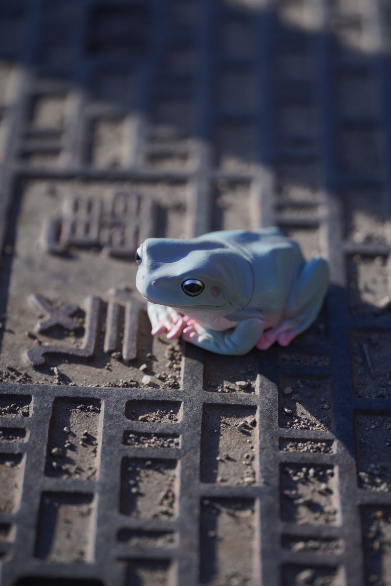 危ない(危なくない)

SONY ILCE-7M3(α7Ⅲ)
SIGMA 105mm F2.8 DG DN MACRO Art

#キリトリセカイ
#写真好きな人と繋がりたい