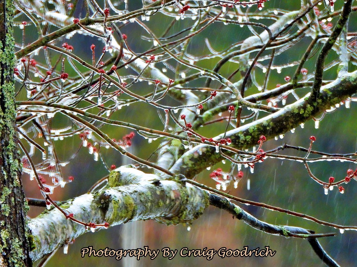ByGoodrich's tweet image. I captured this the other day when freezing rain was here.  I hope not to see this again for a long time.  #icestorm