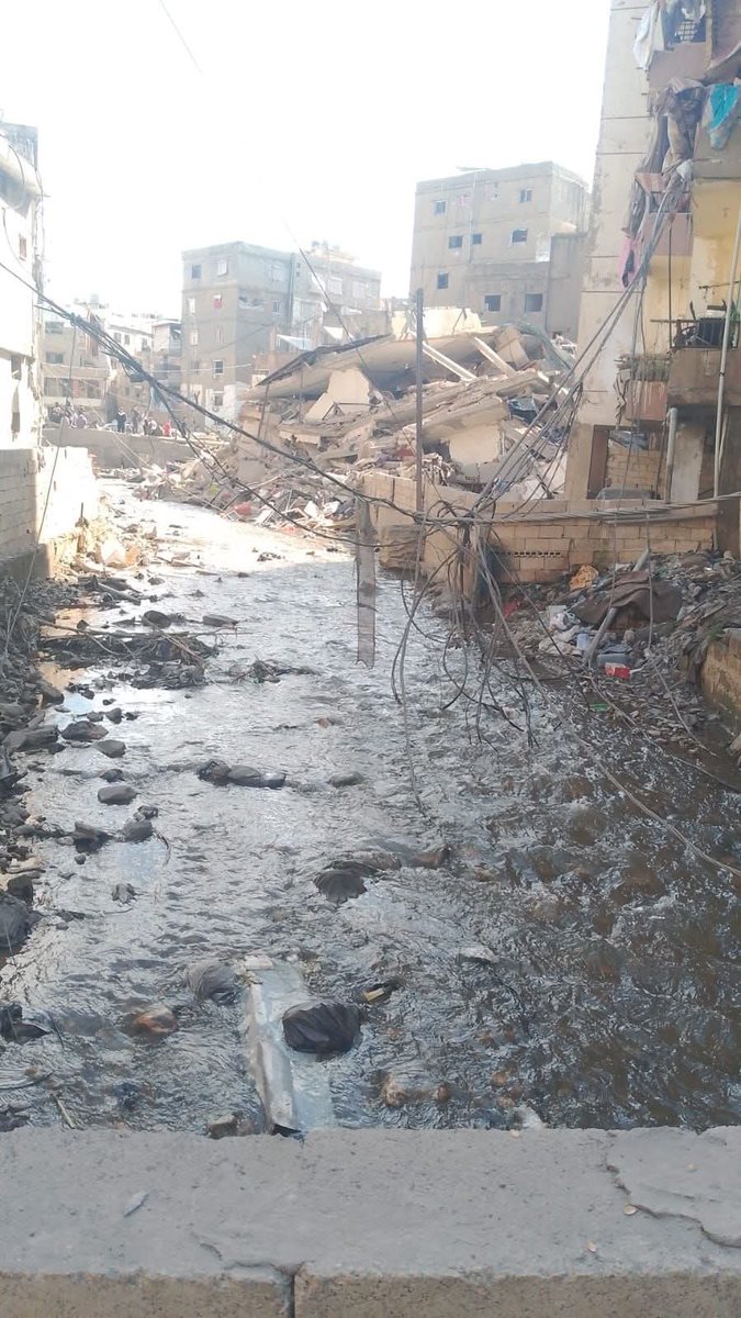 Samar🕊 tweet media