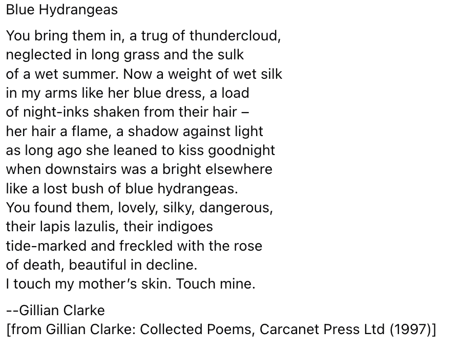 HeyJudeNotJudy (Jude Hopkins) tweet media