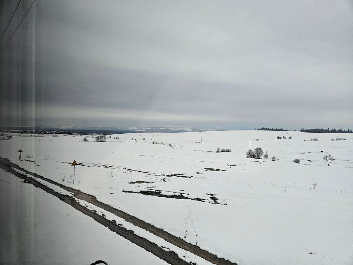 Superalbs tweet media