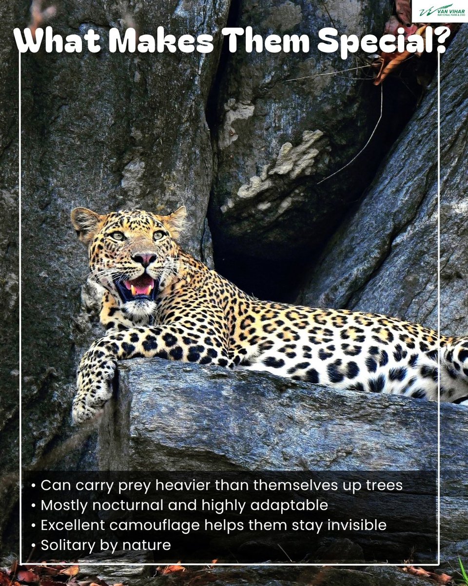 Van Vihar National Park tweet media