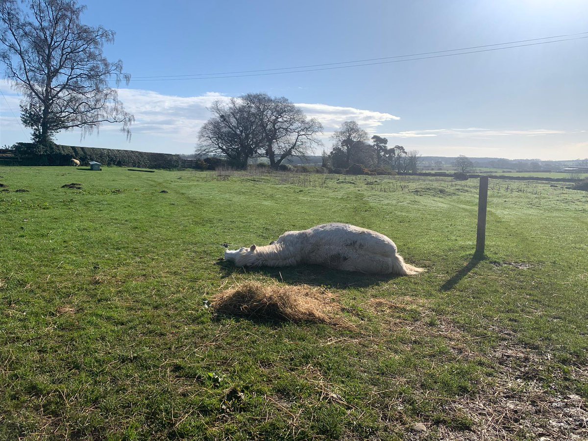 Sally Urwin tweet media