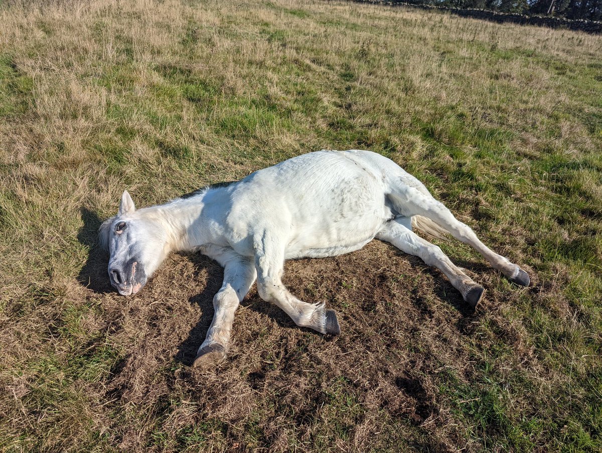 Sally Urwin tweet media