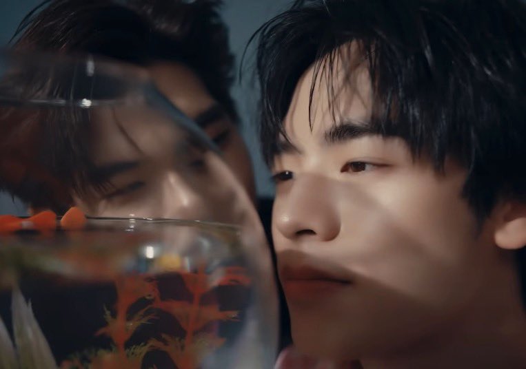 นมผง 🪼 tweet media