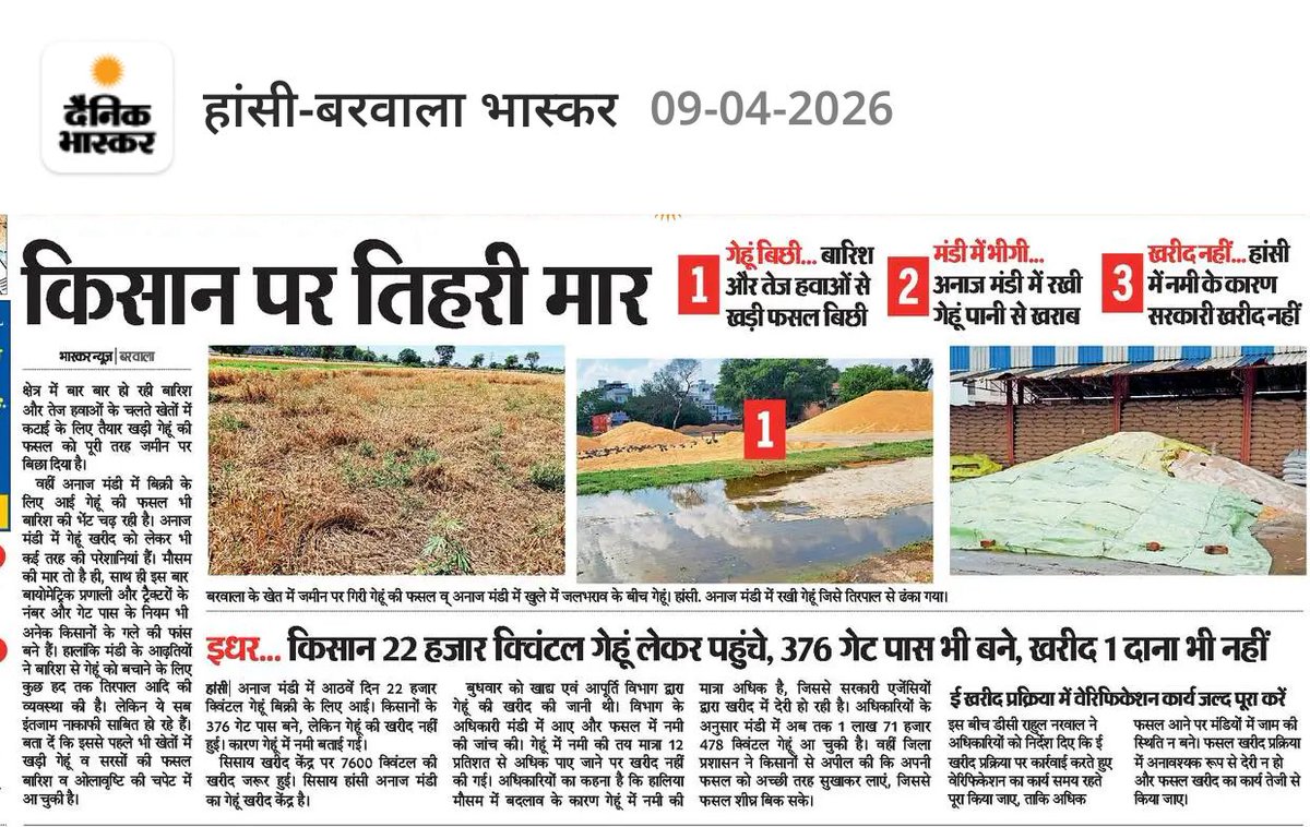 rssurjewala's tweet photo. हरियाणा में MSP पर सरकारी खरीदी के नाम पर चल रही " भाजपाई झूठ और धोखाधड़ी" की लड़ी में फंसे का किसानों का दम घुट रहा है !

🔴 सरकारी खरीदी के "खोखले ऐलान" के 8 दिन बाद भी खेत से लेकर मंडियों तक, किसानों पर चौतरफा मार पड़ रही है !

⛔ एक तरफ बेमौसम बारिश, आंधी और ओलावृष्टि से खेतों में खड़ी फसल बिछी पड़ी है, "प्रीमियम वसूली" के बाद भी मुआवजे का तो कोई मतलब ही नहीं !

⛔ जबकि मंडियों में "लूट और ठगी का भाजपाई बैरियर" खरीदी के बजाय, "बहानों के अड़ंगे" डाले खड़ा है और बारिश में अपना "पीला सोना" भींगता देखकर तड़पते किसानों को सताने में कोई कोर कसर नहीं छोड़ रहा !

⛔ खेतों में 22 लाख हेक्टेयर की उपज मौसम की मार से पस्त है और मंडियों में करीब 8 लाख मीट्रिक टन गेहूं 'सरकारी बेरुखी' की मार में बर्बाद हो रहा है !

⛔ सरकारी खरीदी की नौटंकी के पीछे किसानों की मेहनत और लागत लूटने की भाजपाई साज़िश, किसानों पर मंडी तक उपज लाने और ट्रैक्टर ट्राली के किराए खर्चे का बोझ भी बढ़ाती जा रही है !

🔴 भाजपा सरकार की आंखों में ना शर्म है ना नमी, नतीजा- किसानों लागत डूब रही है, मेहनत पर पानी फिरता जा रहा है और कर्ज का फंदा कसता जा है !

🚨🗣️ हरियाणा के सीएम श्रीमान नायब सैनी, सरकारी खरीदी के नाम पर सिर्फ़"कोरी गप्पेबाजी" से आगे कुछ करने को तैयारी ही नहीं...

कुल मिलाकर जब भाजपा को फसल औने पौने दामों में "प्राइवेट के हाथों ही लुटवानी" है, तो फिर "सरकारी खरीदी का ढोंग" कर हरियाणा के भोले किसानों से "गंदी राजनीति का भाजपाई खेल" क्यों खेला जा रहा है?