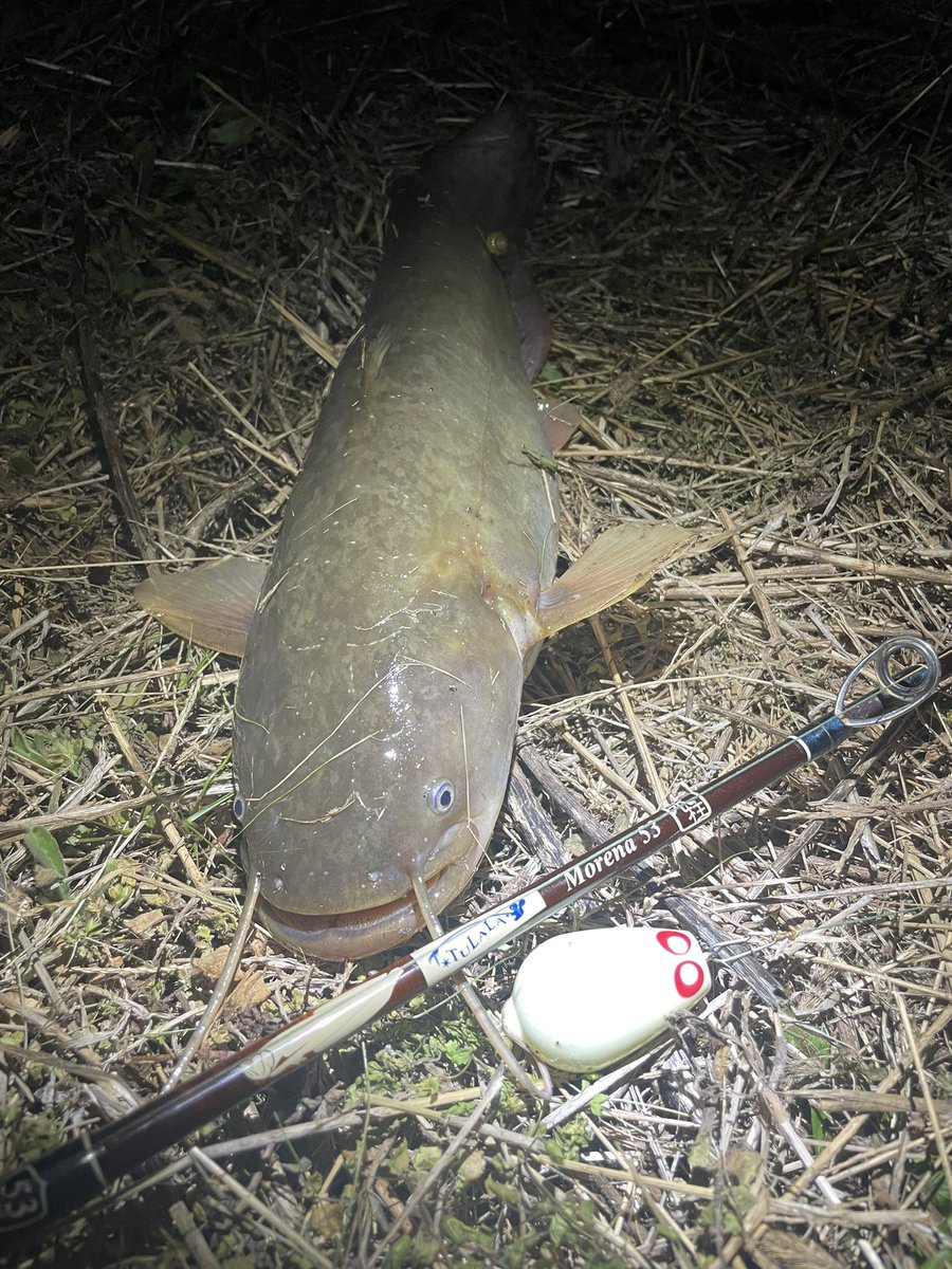 タカノリ tweet media