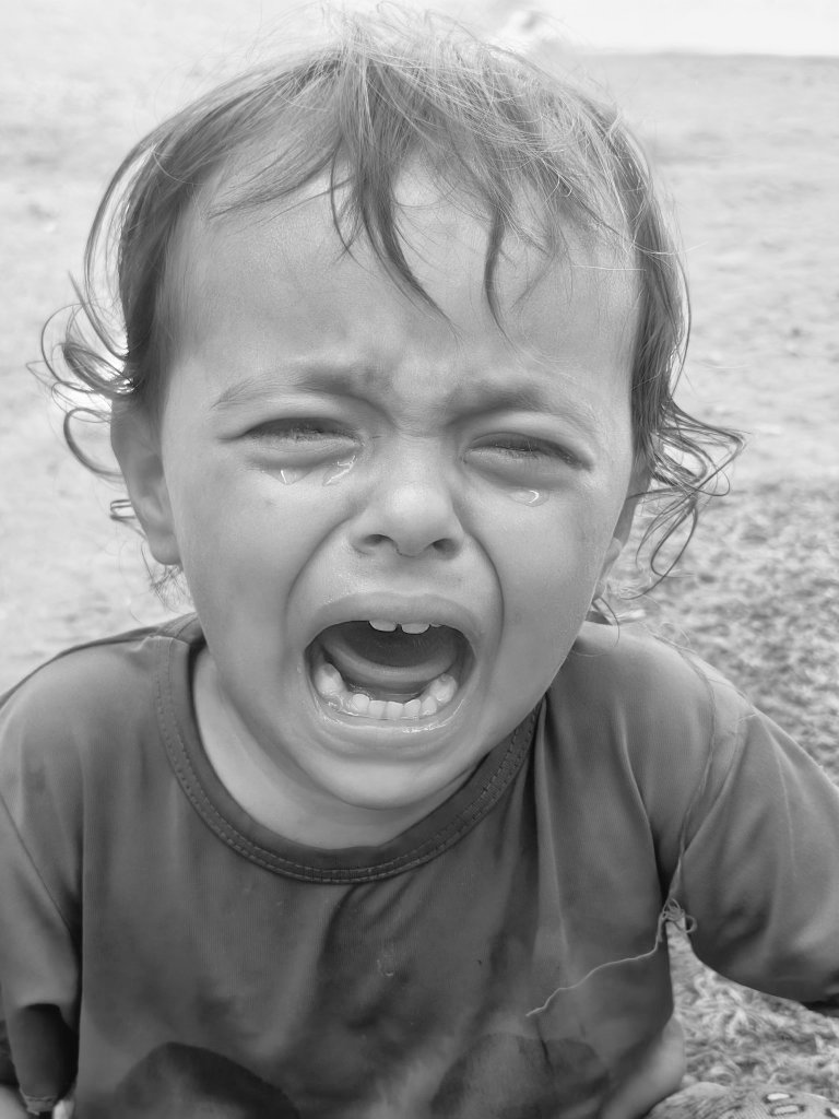 shafeeq𓂆🇵🇸 tweet media