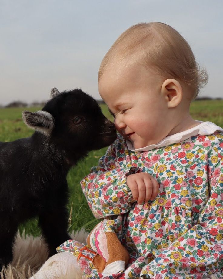 Bettina Schroeder tweet media