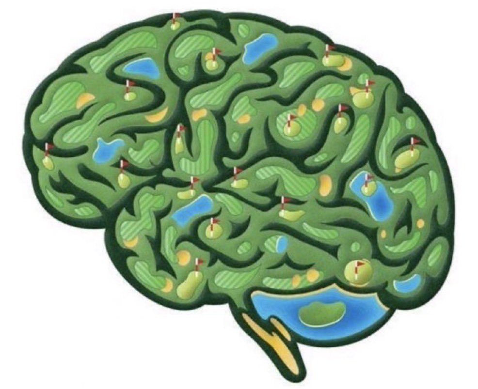 Emerson Lotzia, Jr. tweet media