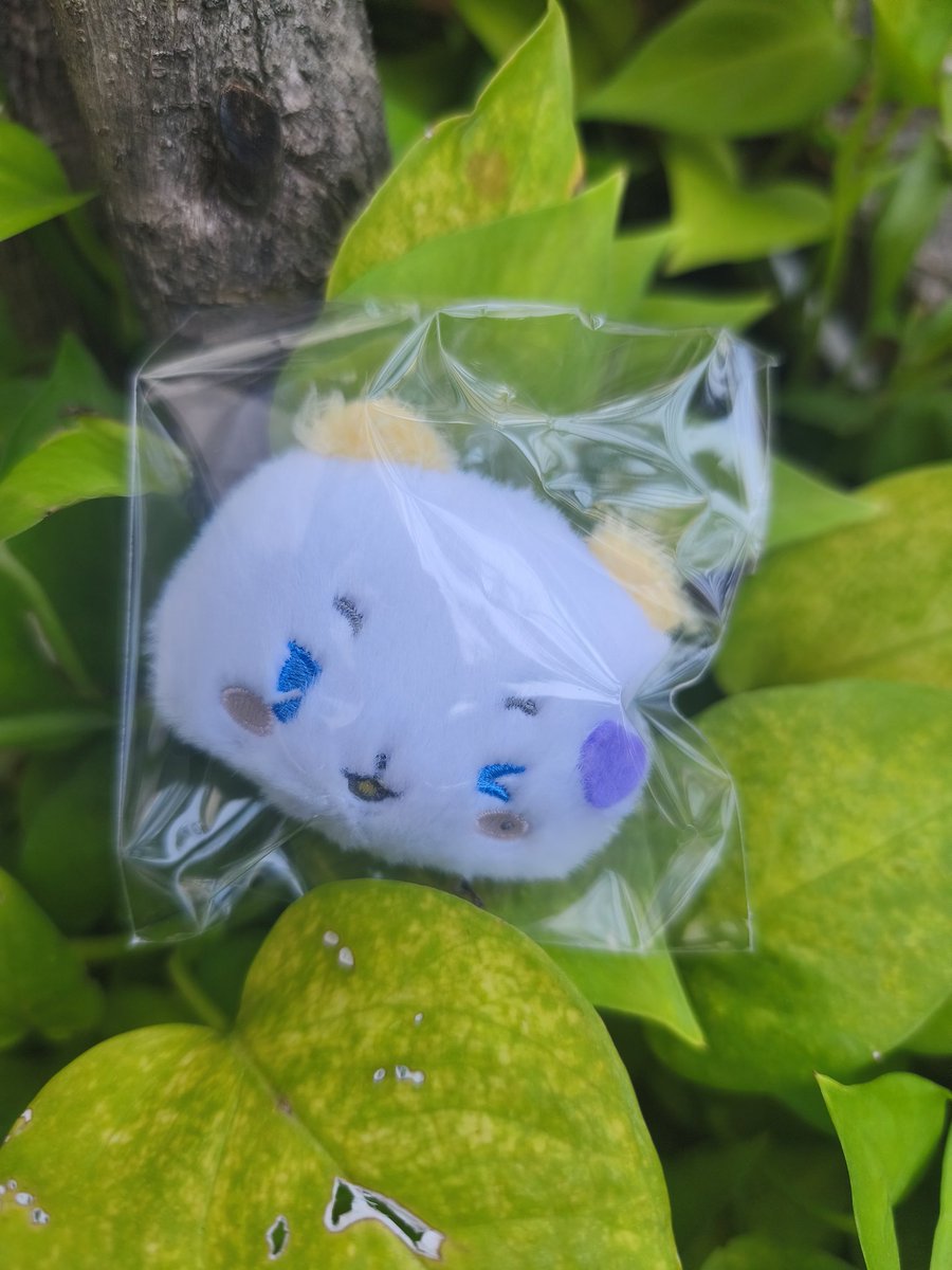 MINTNIE is 에리플리 💚 ❤️ღ큥η战η놔ღ 🖤 💜 tweet media