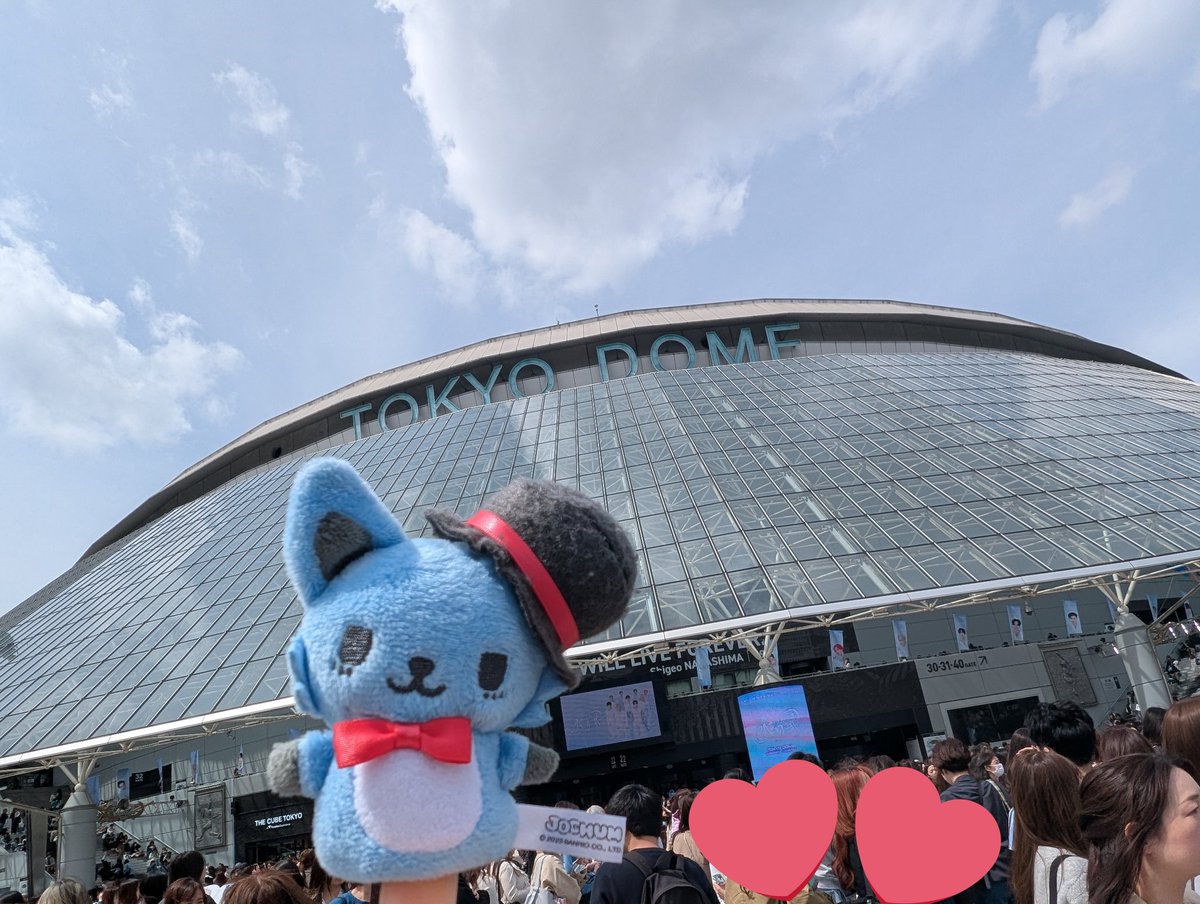 Booちゃん tweet media