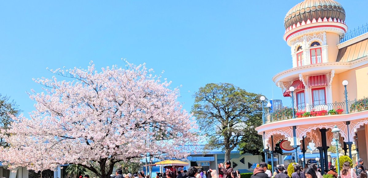 ✨さらさ✨ tweet media