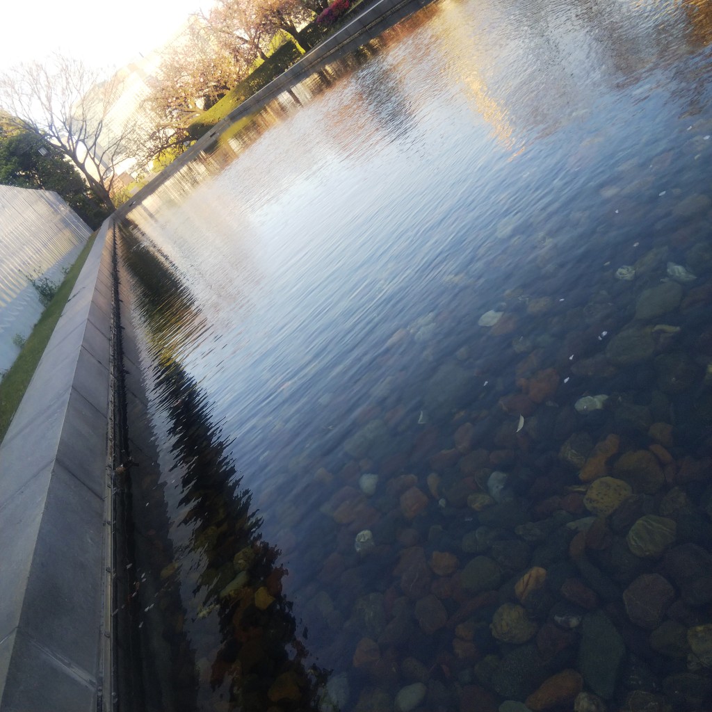 look4kiss's tweet image. #POOLCORE!
…トーキョーど真ん中、〈国会前庭〉と呼ばれる一種の公園
構えはりっぱですが、あまり手入れが行き届いていない
国会審議を軽視する政府の姿勢がココにも出ているのでしょうか？（風刺ジョーク）
🏛️🕰️⛲
In the heart of Tōkyō, a sort of park called “Front Lawn of the National Diet”