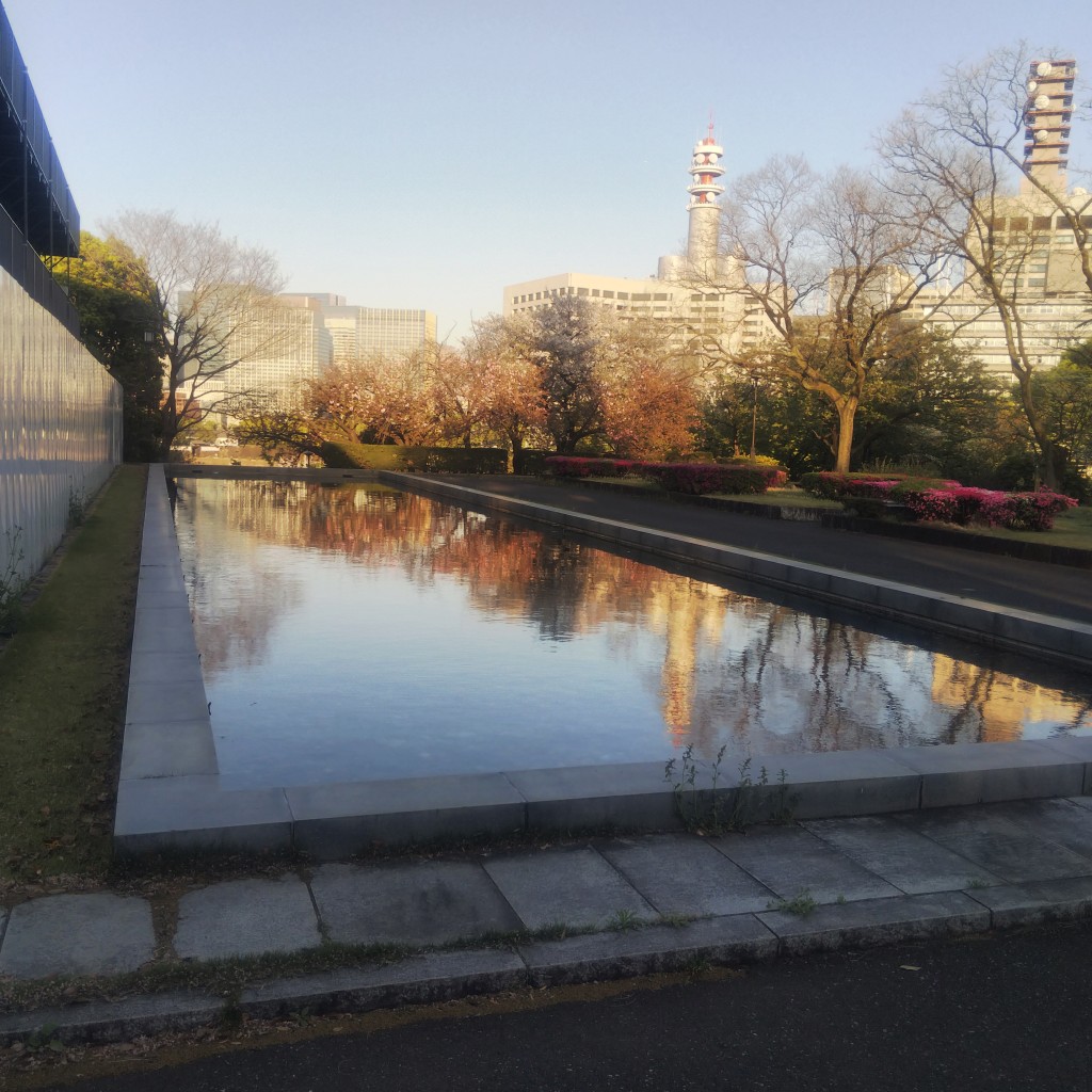 look4kiss's tweet image. #POOLCORE!
…トーキョーど真ん中、〈国会前庭〉と呼ばれる一種の公園
構えはりっぱですが、あまり手入れが行き届いていない
国会審議を軽視する政府の姿勢がココにも出ているのでしょうか？（風刺ジョーク）
🏛️🕰️⛲
In the heart of Tōkyō, a sort of park called “Front Lawn of the National Diet”