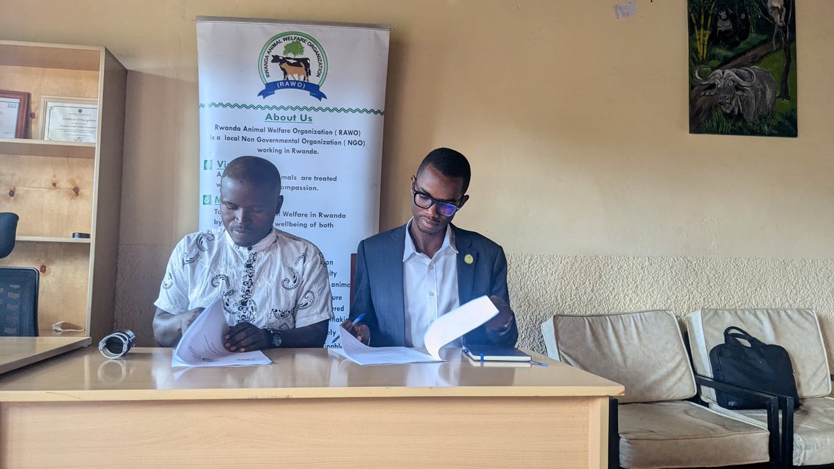 amr_initiative's tweet image. 𝐎𝐟𝐟𝐢𝐜𝐢𝐚𝐥 𝐏𝐚𝐫𝐭𝐧𝐞𝐫𝐬𝐡𝐢𝐩 𝐀𝐧𝐧𝐨𝐮𝐧𝐜𝐞𝐦𝐞𝐧𝐭

We are pleased to announce the signing of an #MoU between @RAWO_Rwanda and AMR Initiative Rwanda, officially signed by our Founder, @MarcelIshimwe1  and Dr. Masengesho Jean Claude, Executive Director of RAWO.

1/3