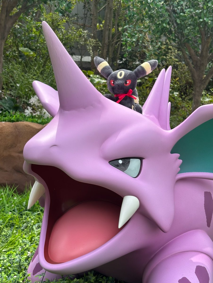 ブラッキー信仰者 tweet media