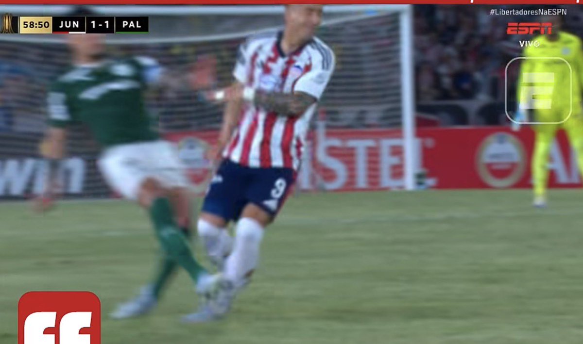 Miranha da Gávea tweet media