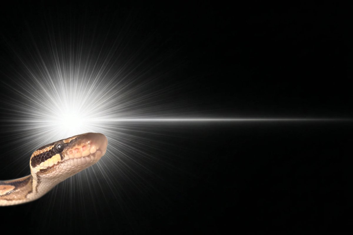 もなか tweet media